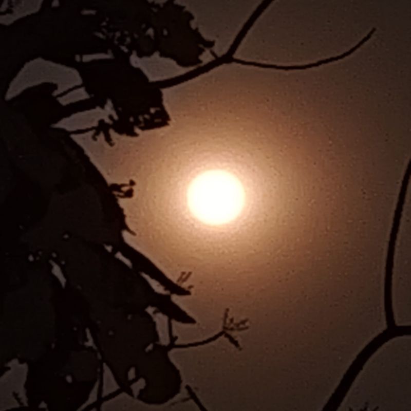 Yoga e Meditazione sul Monte Baldo con la luna piena